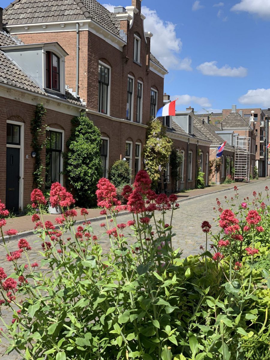 Deventer | Bergpoortstraat